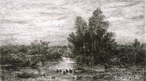 Fisherman on River with Ducks