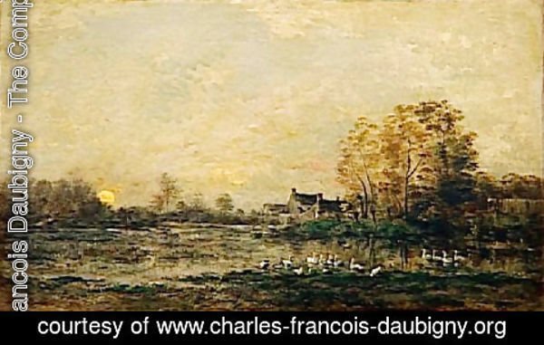 Charles-Francois Daubigny - The bog in the sunset