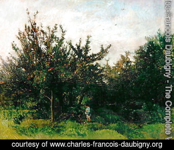Charles-Francois Daubigny - An Apple Orchard