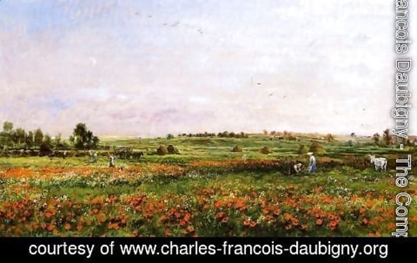 Charles-Francois Daubigny - Fields in the Month of June