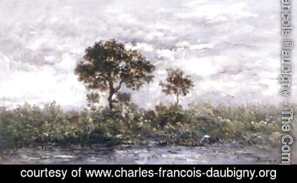 Charles-Francois Daubigny - La Mare Aux Cigones