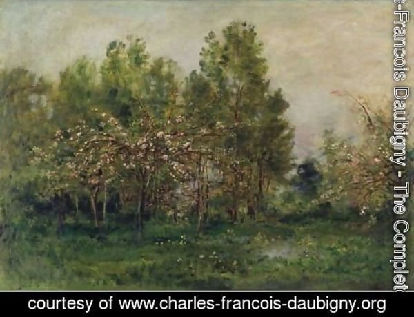 Charles-Francois Daubigny - Apple Blossoms 2